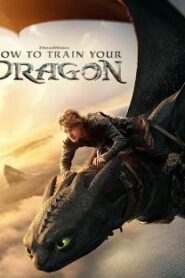 How to Train Your Dragon